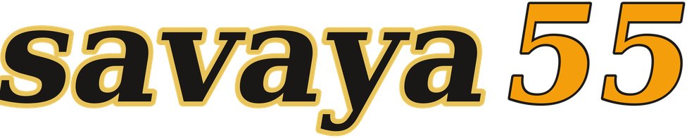 savaya55 logo